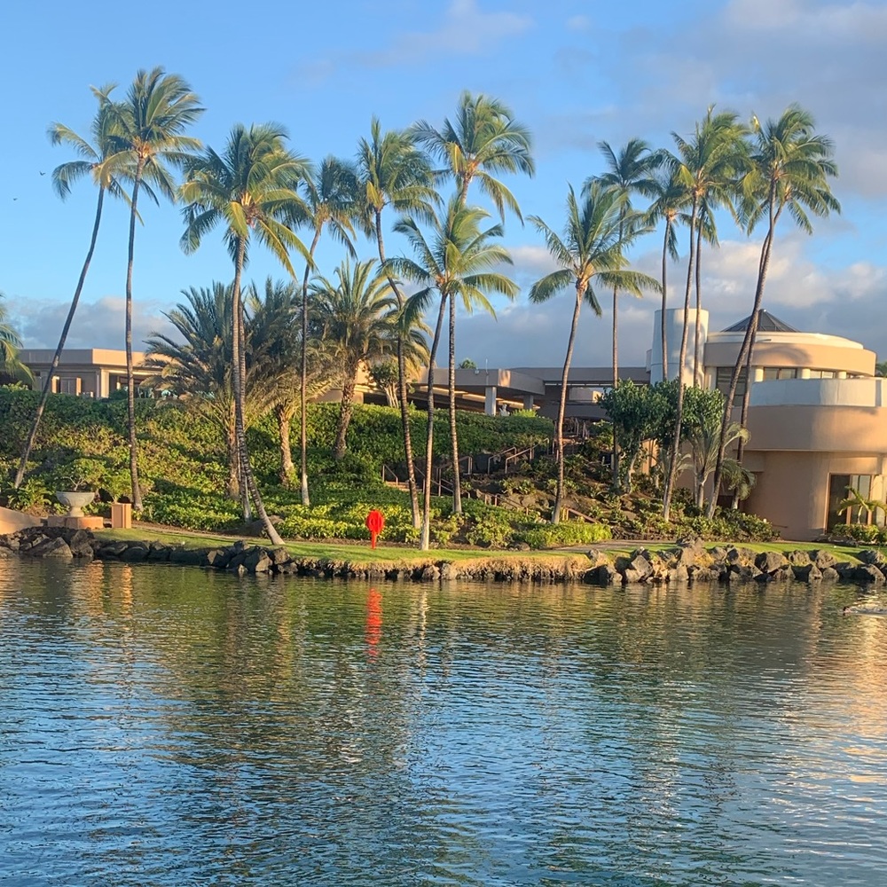 Meet your Posher, Tracey